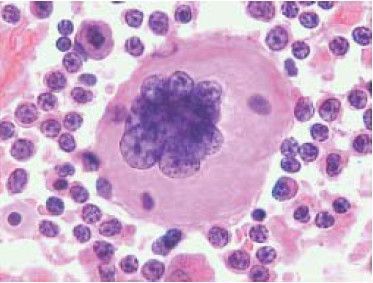 laboratory cytology