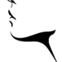 Cuello y papada