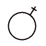 Cirugía plástica de genitales mujer